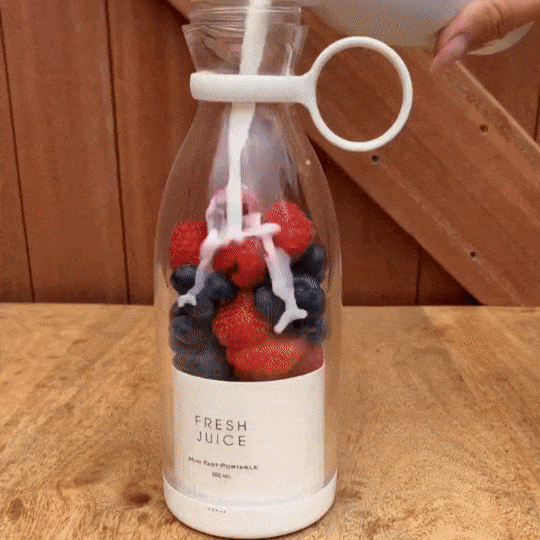 Portable Juicer Blender (USB Rechargeable)